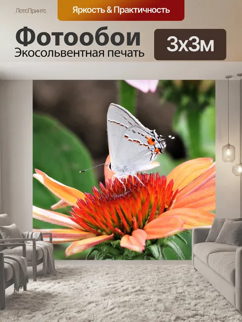 Фотообои Серая прическа на оранжевом цветке