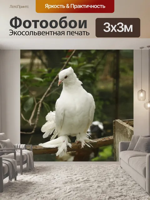 Фотообои Висячий голубь