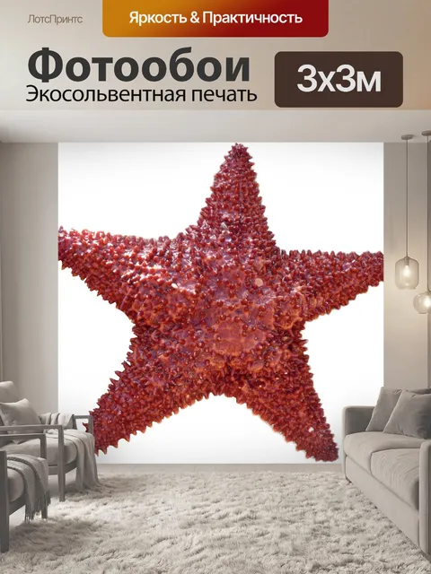 Фотообои Красная морская звезда