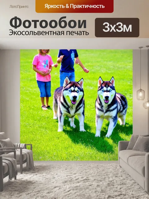 Фотообои хаски, играющий с детьми на зеленом газоне, радостные лица, солнечная погода
