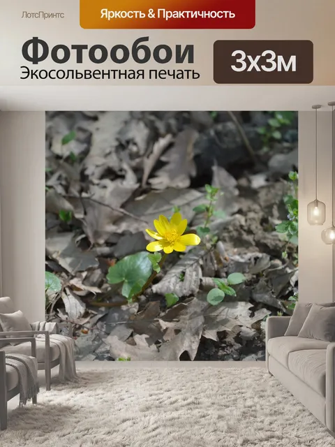 Фотообои Желтый цветок