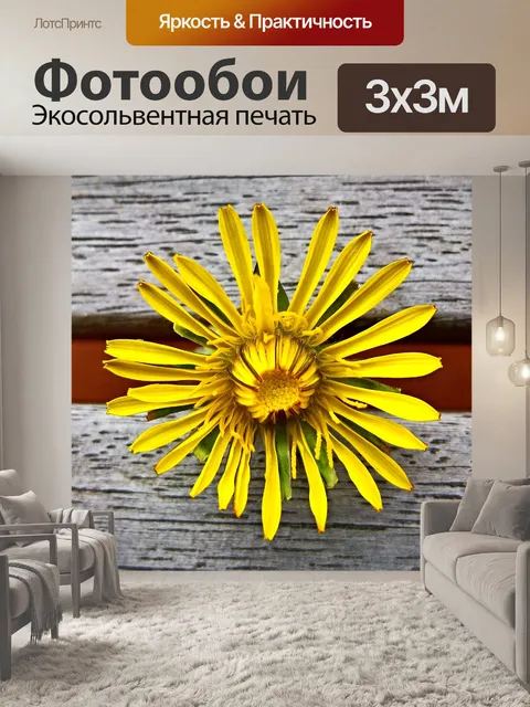 Фотообои Одуванчик