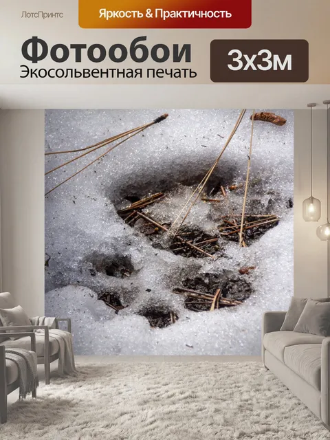 Фотообои медвежья лапа в снегу
