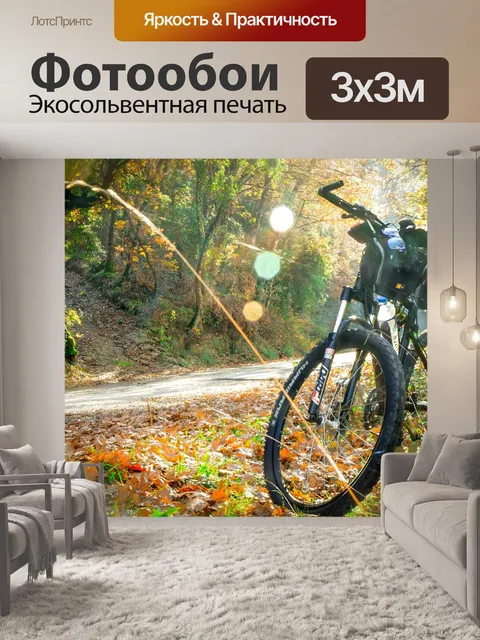 Фотообои Езда на велосипеде