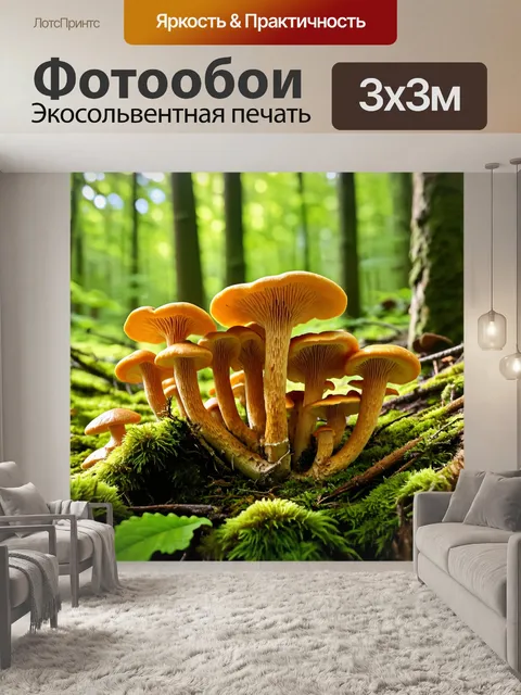 Фотообои грибы лисички в лесной подстилке