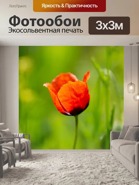 Фотообои Мак