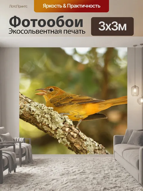 Фотообои Летний танагер на ветке дерева
