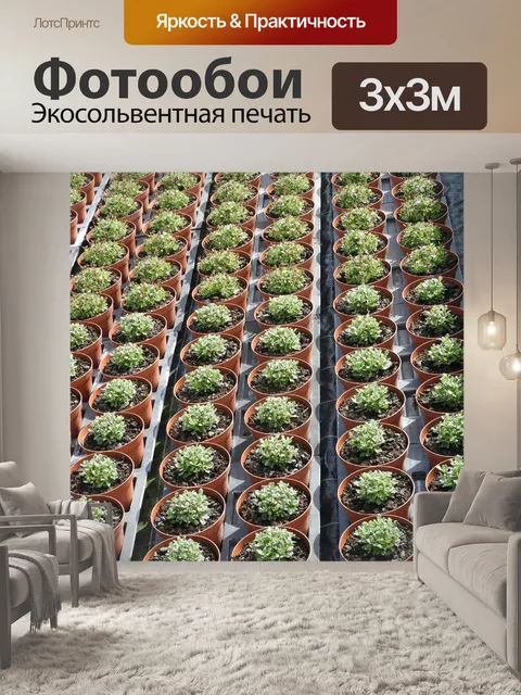 Фотообои Садовник