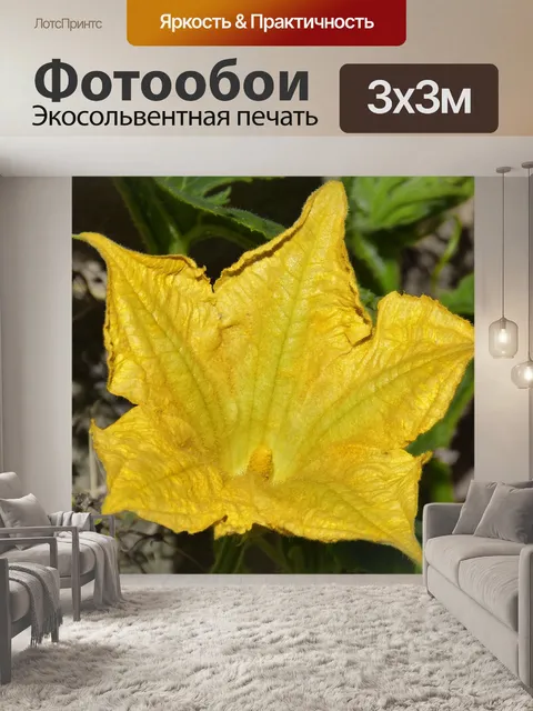 Фотообои Цветок