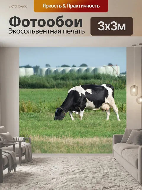 Фотообои Корова