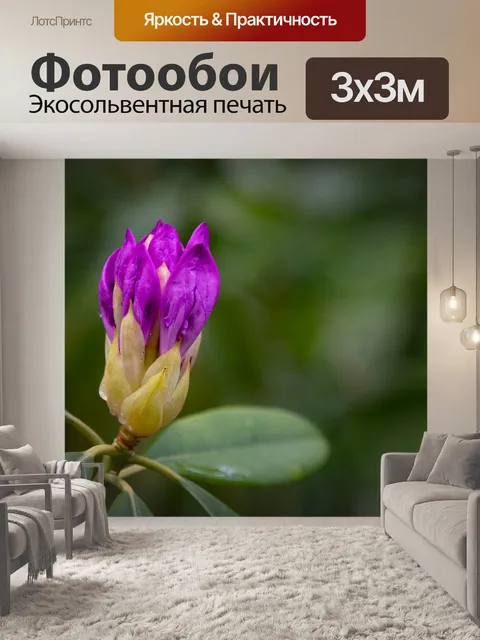 Фотообои Рододендрон