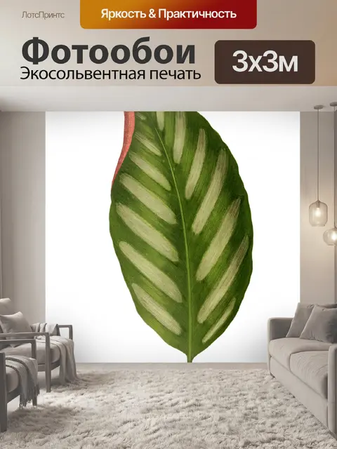 Фотообои Листья листва Винтаж клипарт