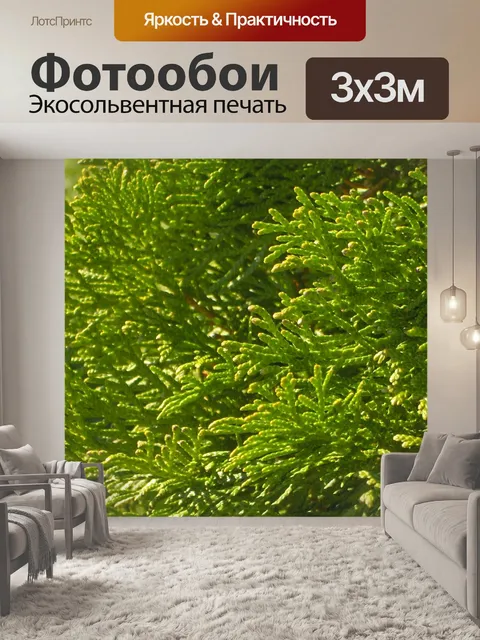 Фотообои Кедровое