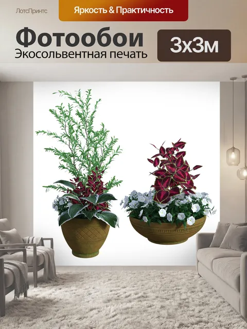 Фотообои В горшке