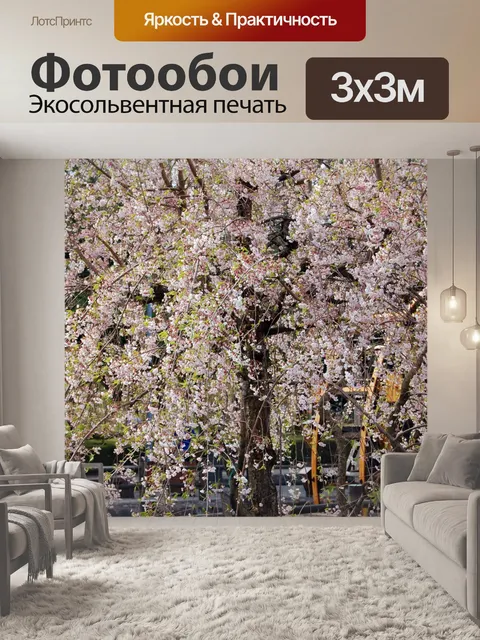 Фотообои Японские Cherry Blossoms