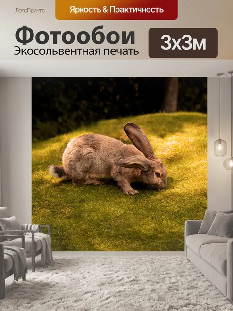 Фотообои Кролик