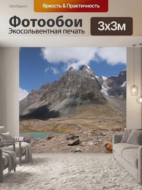 Фотообои Собака
