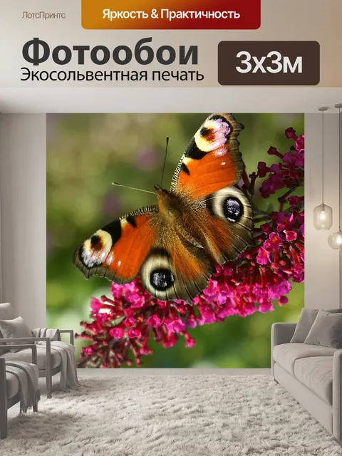 Фотообои Бабочка