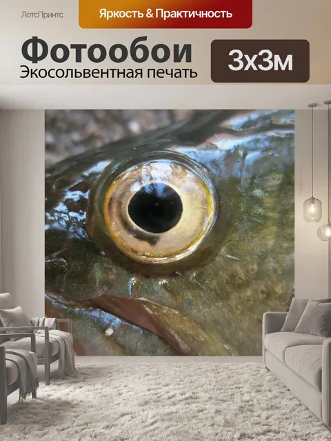 Фотообои Рыба