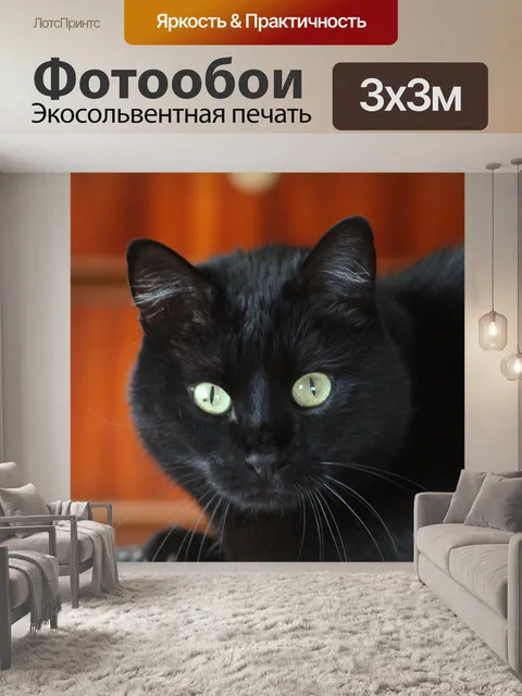Фотообои Черный