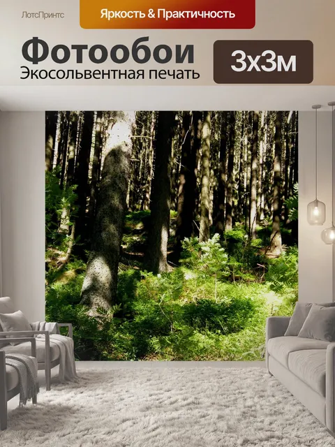 Фотообои Лес