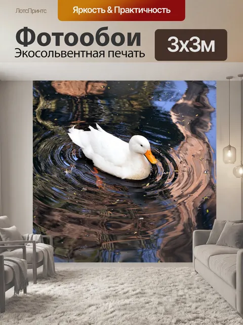Фотообои Белый лебедь