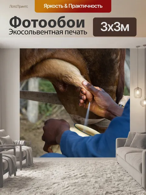 Фотообои Корова