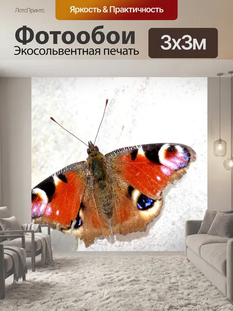 Фотообои Павлинья бабочка