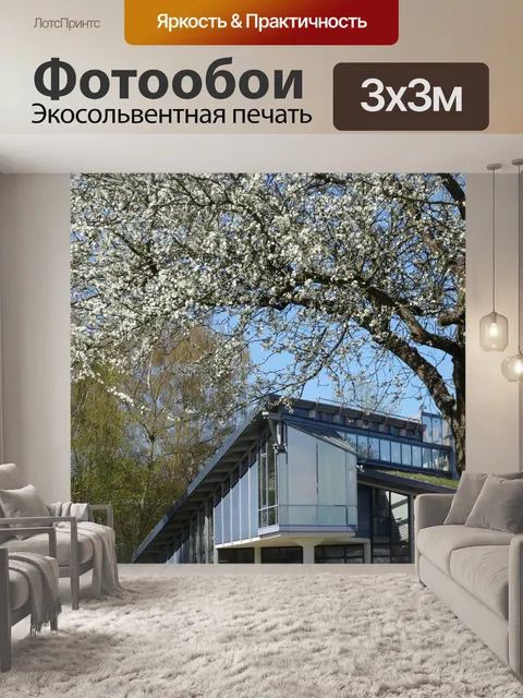 Фотообои Lime музей