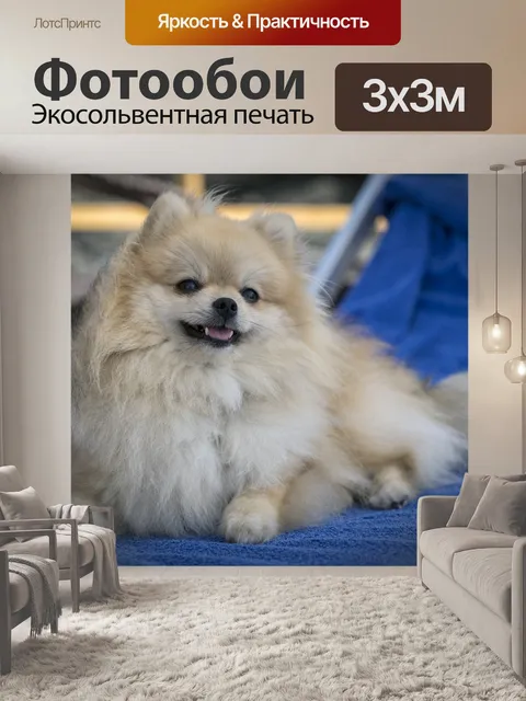 Фотообои Собака