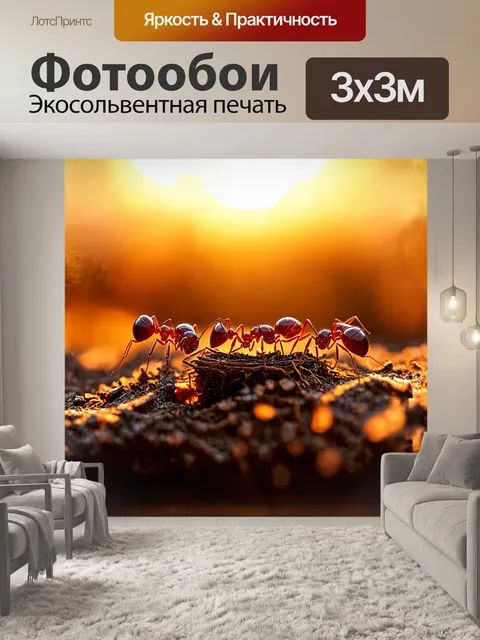 Фотообои три муравья, строящие небольшое гнездо из детритов, усердно работают под светом заходящего солнца