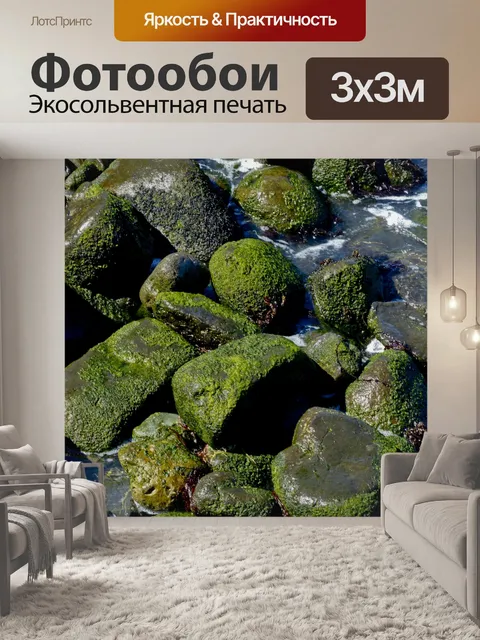 Фотообои Фон Мосс-Рокс