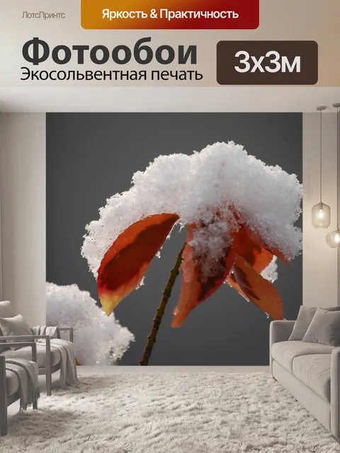Фотообои Снежный покров
