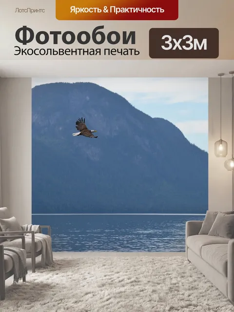 Фотообои Орел