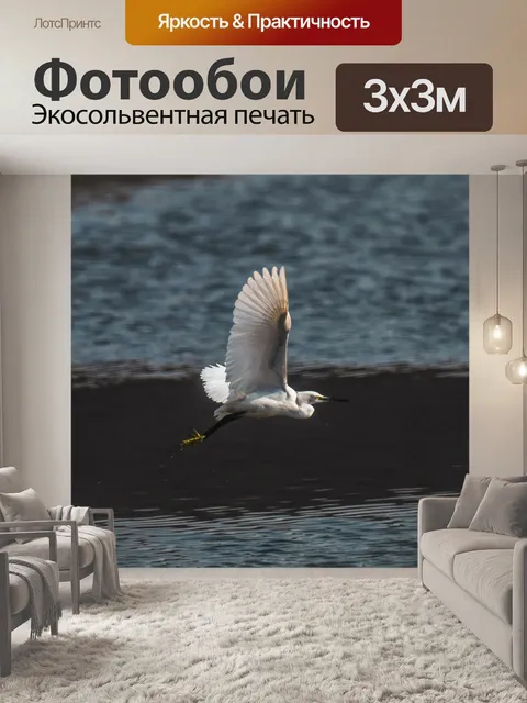 Фотообои Цапля