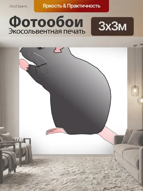 Фотообои Крыса