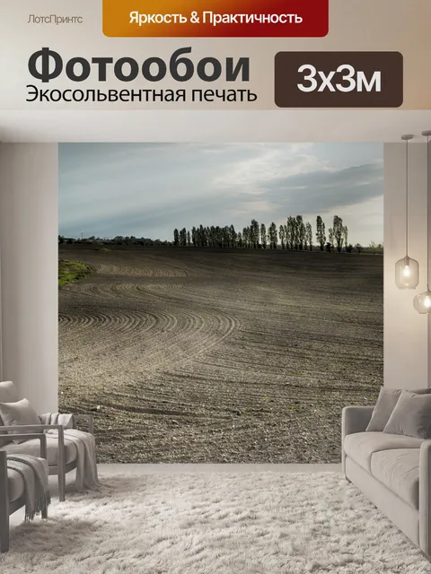 Фотообои Поле Закат