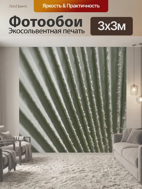 Фотообои Лист серой пальмы