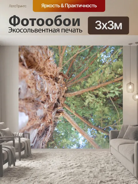Фотообои Дерево Перспектива 38