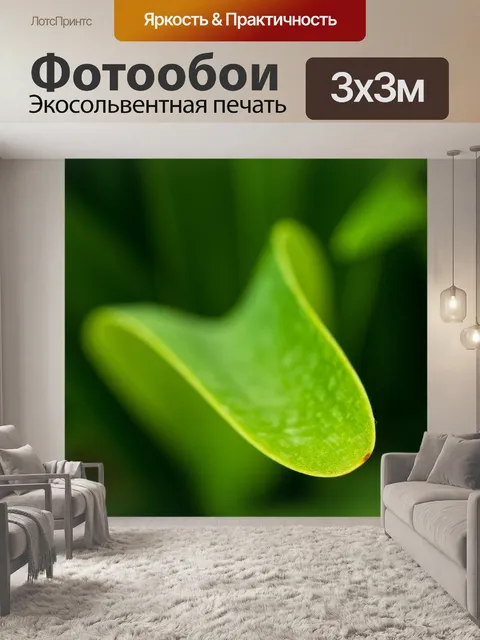 Фотообои Природа