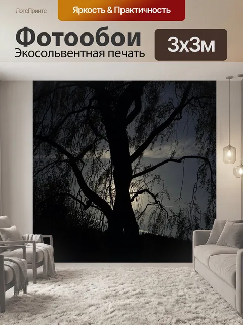 Фотообои Пастбище