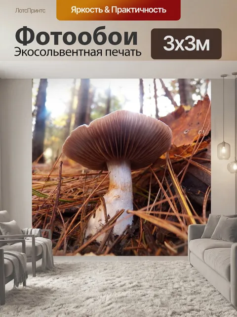 Фотообои Гриб
