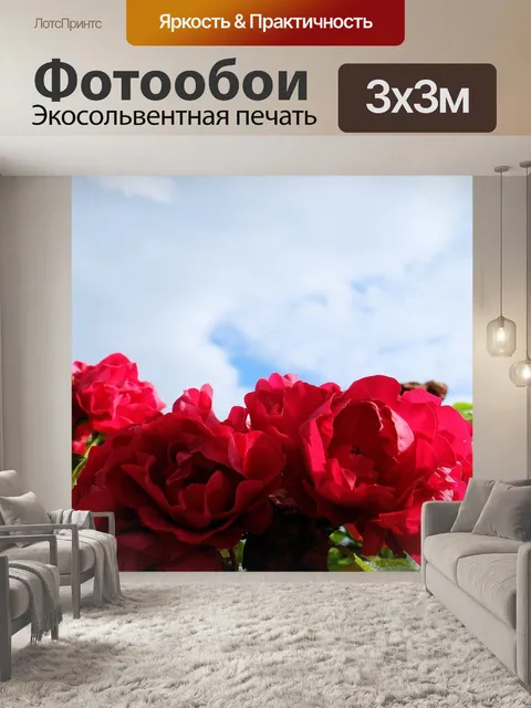 Фотообои Небо