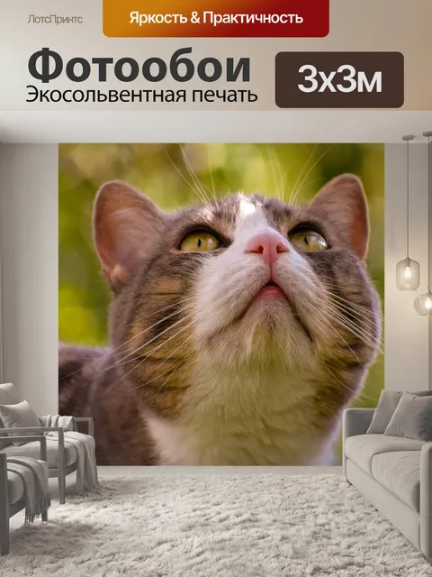 Фотообои Feline