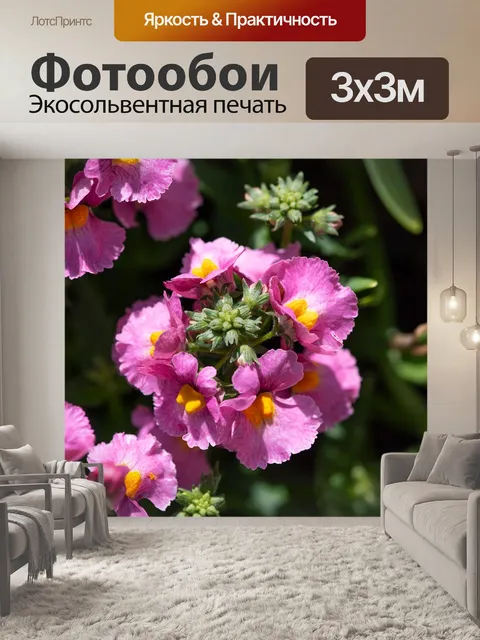 Фотообои Расцветает