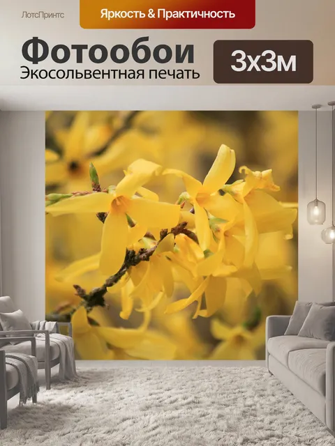 Фотообои Форсайтия