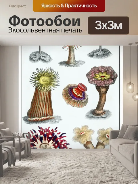 Фотообои Коралловое винтажное искусство старое