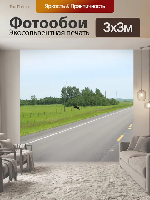 Фотообои Лось на дороге Прыжки забор