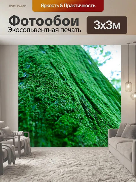 Фотообои Вудс