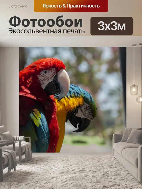Фотообои Два ара